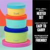 imageSwell Stainless Steel Food Canister Set Of Three 10oz 16oz and 24oz Pastel Paradise Single Walled Durable Construction BPA Free Dishwasher SafeTropical Smoothie