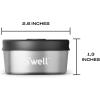 imageSwell Stainless Steel Mini Canister Set of Two 2oz Pink And Mauve Pyrite Single Walled Durable Construction Leakproof Silicone Lids Dishwasher SafeBlack