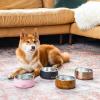imageSwell Stainless Steel Pet Bowl 32oz Teakwood for Small to Medium Size Dogs Mess Free Design with Non Slip Rubber Bottom Dishwasher Safe BPA FreePink Topaz