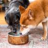 imageSwell Stainless Steel Pet Bowl 32oz Teakwood for Small to Medium Size Dogs Mess Free Design with Non Slip Rubber Bottom Dishwasher Safe BPA FreeTeakwood
