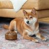 imageSwell Stainless Steel Pet Bowl 32oz Teakwood for Small to Medium Size Dogs Mess Free Design with Non Slip Rubber Bottom Dishwasher Safe BPA FreeTeakwood